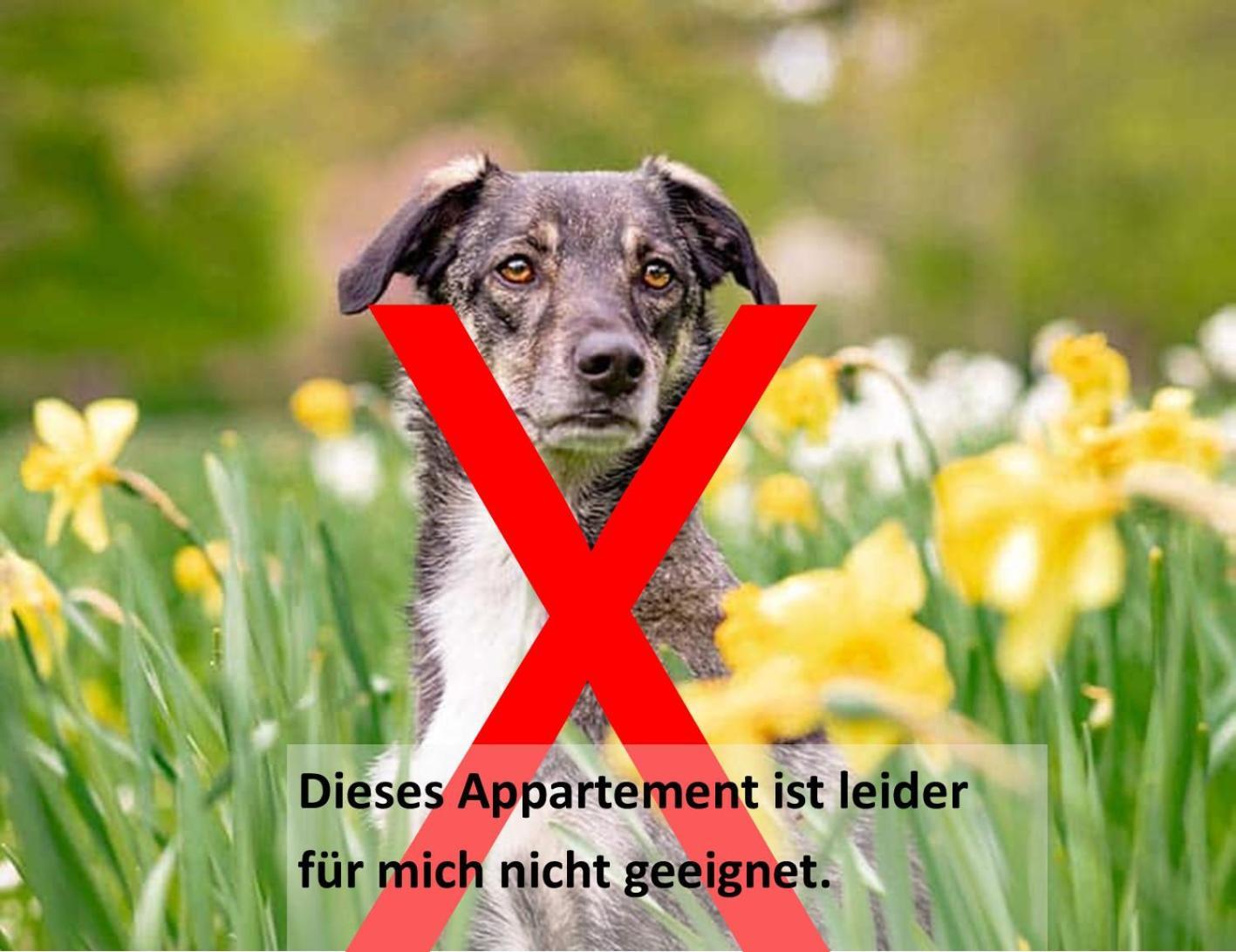 Gaestehaus Zehmerhof Bei Erding فالبيرتسكيرشن المظهر الخارجي الصورة